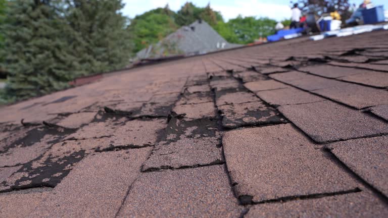 Best Roof Insulation Installation  in Pickens, SC
